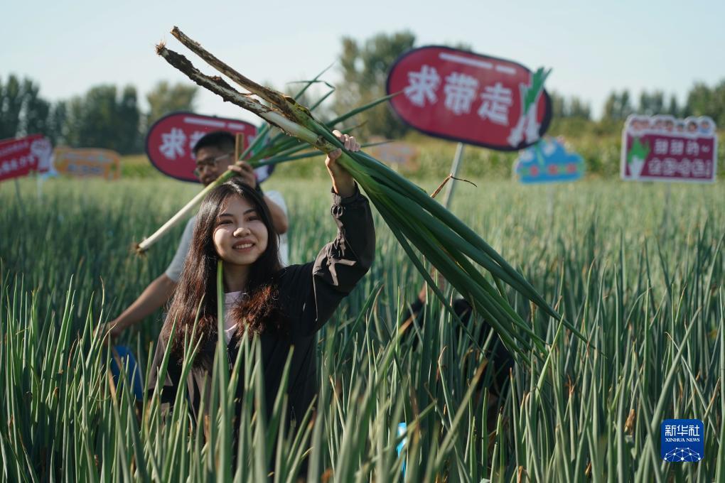 官方彩票论坛
